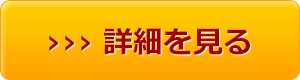 詳細を見る
